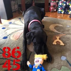 Meet your Posher, Loretta